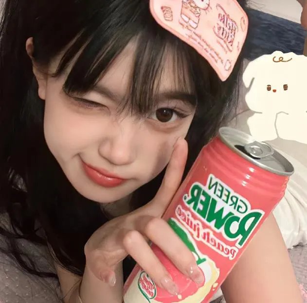 盗贼泰瑞莎